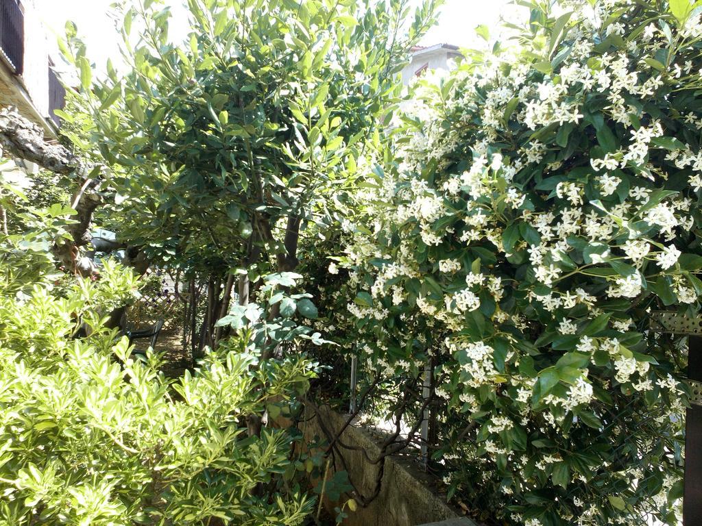 B&B A Casa Di Nonna Фонді Екстер'єр фото